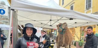 Fdi “accoglie” Renzi a Biella con un dromedario