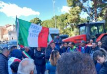 Trattori in piazza a Palermo, Cateno De Luca “Il 22 febbraio a Roma”