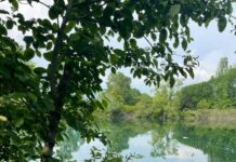 Lombardia, rapporto Ersaf “Una foresta di oltre 600mila ettari”