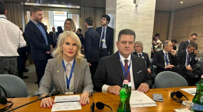 Confindustria Romania a Forum economico, focus su partnership con Italia