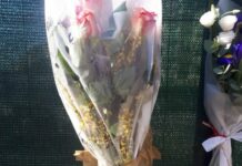 Crollo Firenze, in azione due gru all’interno area cantiere