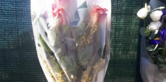 Crollo Firenze, in azione due gru all’interno area cantiere