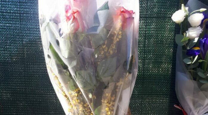 Crollo Firenze, in azione due gru all’interno area cantiere