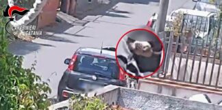 Panificio di Catania trasformato in centrale per spaccio cocaina, 9 arresti