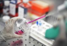 Al Bambino Gesù identificati 18 nuovi geni-malattia nel 2023