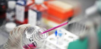 Al Bambino Gesù identificati 18 nuovi geni-malattia nel 2023