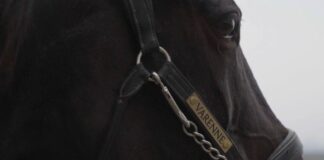 Su EQUtv il docufilm “Io sono Varenne, il figlio del Vento”