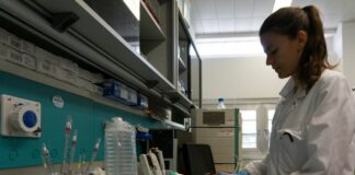 Fondazione Cariplo lancia nuovi bandi di ricerca per il 2024