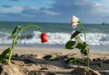 Cutro, un anno fa la strage in mare