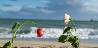 Cutro, un anno fa la strage in mare