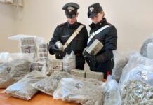 Fiumicino, arrestato 19enne trovato in possesso di più di 40 kg di droga