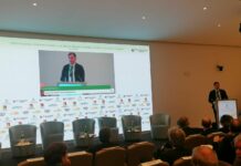 Piano industriale 2030, Tamajo “La Sicilia ha un potenziale straordinario”