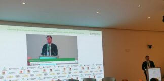 Piano industriale 2030, Tamajo “La Sicilia ha un potenziale straordinario”