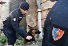 Palermo, 25 chili di droga sequestrati e 6 arresti