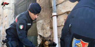 Palermo, 25 chili di droga sequestrati e 6 arresti