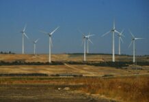 Nel 2023 emissioni in calo, cresce domanda per eolico e fotovoltaico