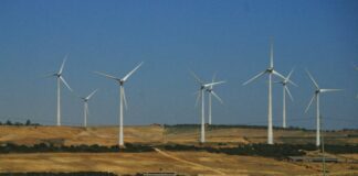 Nel 2023 emissioni in calo, cresce domanda per eolico e fotovoltaico