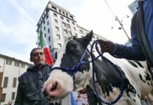 Agricoltori, le tante ragioni di una protesta che non va ignorata