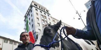 Agricoltori, le tante ragioni di una protesta che non va ignorata