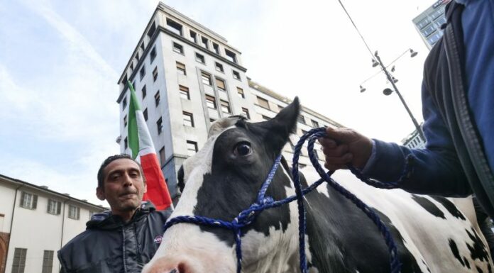 Agricoltori, le tante ragioni di una protesta che non va ignorata