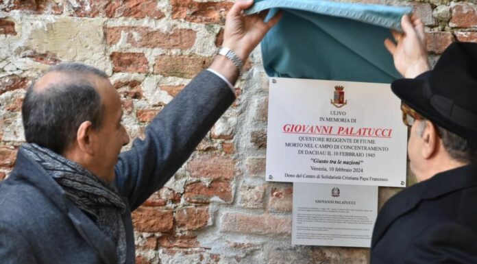 Un albero di ulivo e una targa per ricordare Giovanni Palatucci