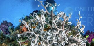 Parco Nazionale Pantelleria aderisce a concorso fotografico “Obiettivo Terra”