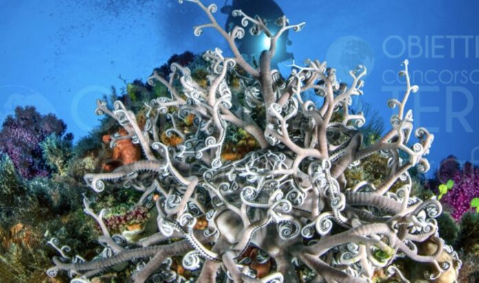 pantelleria-concorso