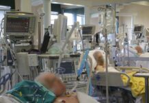 Malta, malattie cardiovascolari principali cause di morte nel 2022