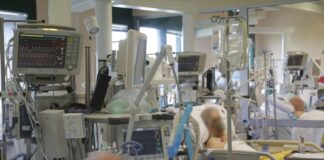 Malta, cardiovascular disease the main cause of death in 2022