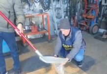 Controlli della Regione sul grano estero in arrivo a Pozzallo