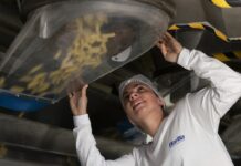 Dall’azienda alla filiera, Barilla promuove l’inclusività di genere