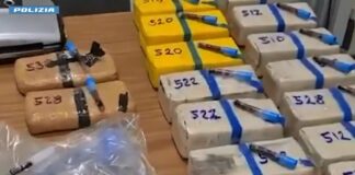 Sequestrati nel Milanese 10 chili di eroina, un arresto