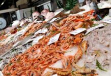 Blitz contro il mercato abusivo del pesce nel Trapanese, multe e sequestri