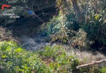 Rifiuti smaltiti come fertilizzanti, indagini nel vibonese