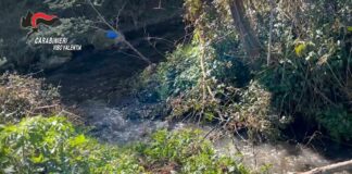 Rifiuti smaltiti come fertilizzanti, indagini nel vibonese