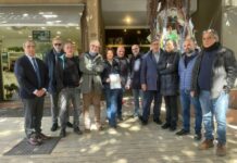 Una task force di agronomi per curare l’albero Falcone a Palermo