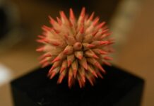 Al via mostra d’arte contemporanea Salon Bite and Go a Palazzo Lombardia