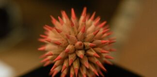 Al via mostra d’arte contemporanea Salon Bite and Go a Palazzo Lombardia