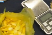 Bologna, spaccio nel centro cittadino. 44 misure cautelari