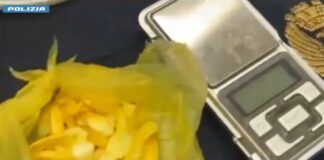 Bologna, spaccio nel centro cittadino. 44 misure cautelari