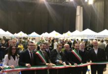 Donazzan a Jesolo per Simulinfiera”Impresa simulata è efficace modalità”