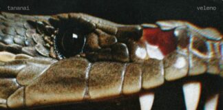 Tananai, esce oggi il nuovo singolo “Veleno”