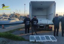 Sequestrati a Corigliano-Rossano 17 quintali di novellame