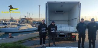 Sequestrati a Corigliano-Rossano 17 quintali di novellame