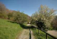 Lombardia, presentato e-book dedicato ad aree verdi senza barriere