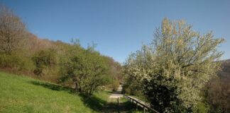 Lombardia, presentato e-book dedicato ad aree verdi senza barriere