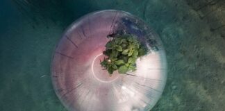 Con Locatelli, Cariplo porta in mostra i progetti di economia circolare