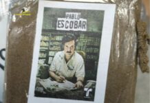 Sequestrati 11 chili di sostanze stupefacenti, 2 arresti nel Foggiano