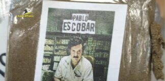 Sequestrati 11 chili di sostanze stupefacenti, 2 arresti nel Foggiano