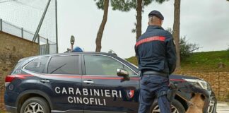 Stampava soldi e documenti falsi e in casa aveva armi, un arresto a Palermo